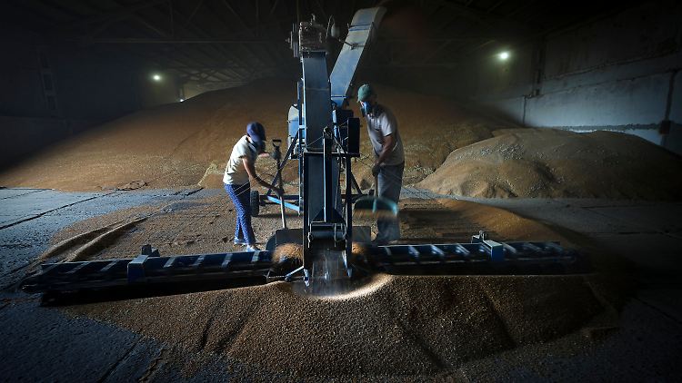In ukrainischen Häfen stecken wegen des Krieges Schätzungen zufolge etwa 20 Millionen Tonnen Getreide fest.