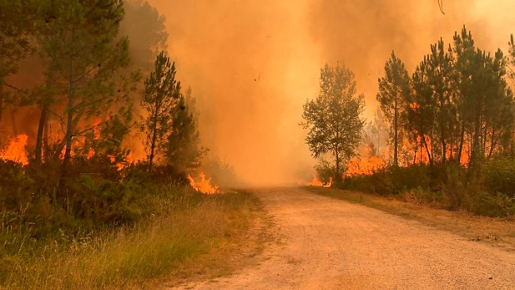 An Frankreichs Atlantikküste halten Waldbrände seit Tagen die Feuerwehren in Atem.