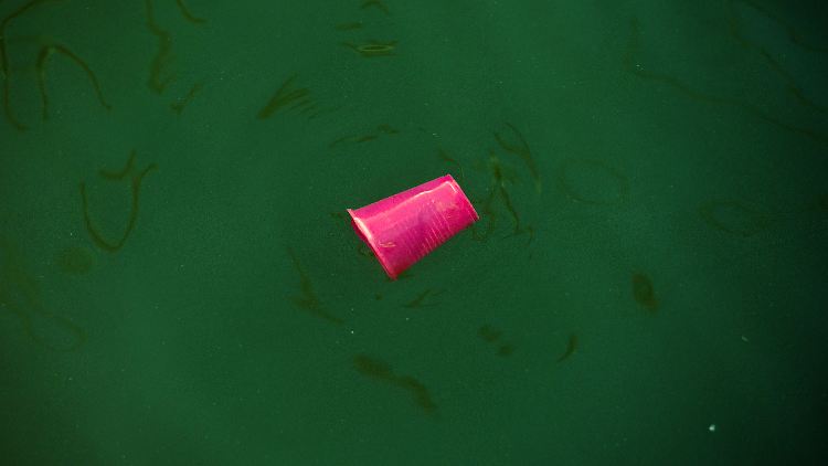 Ein Teil des Plastikmülls landet in der Umwelt und zerfällt in immer kleinere Partikel. Die finden sich dann auch in Böden und Pflanzen.