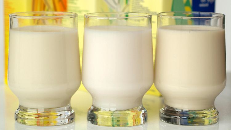 Hafer- oder andere Pflanzendrinks sind beliebte Alternativen für Menschen, die keine Kuhmilch vertragen oder sie aus anderen Gründen nicht trinken wollen.