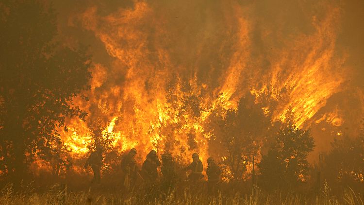 Die Feuerwehr kämpft derzeit in vielen Regionen Portugals gegen Waldbrände.