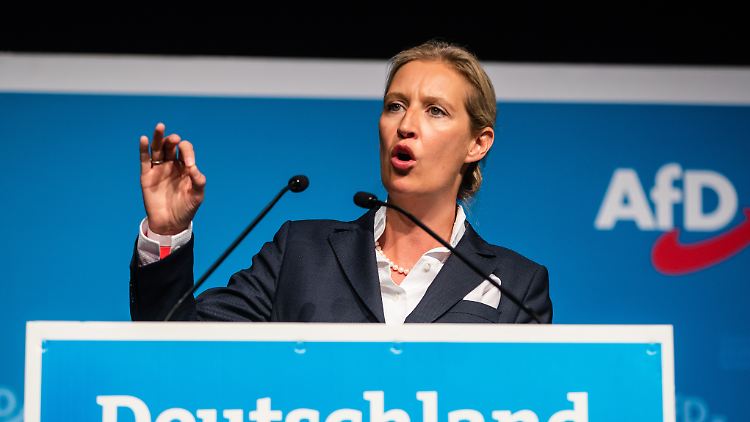Alice Weidel, AfD-Landesvorsitzende in Baden-Württemberg, will gegen die Beobachtung des Verfassungsschutzes juristisch vorgehen.