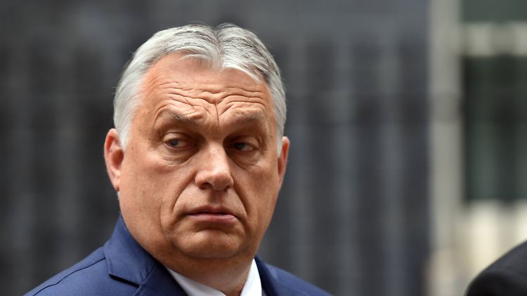 Kein Freund europäischer Werte: Viktor Orban.