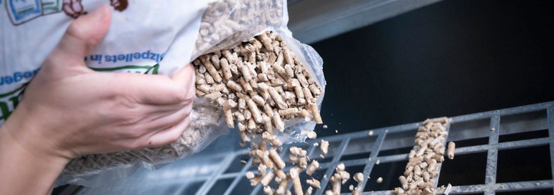 pellets.jpg