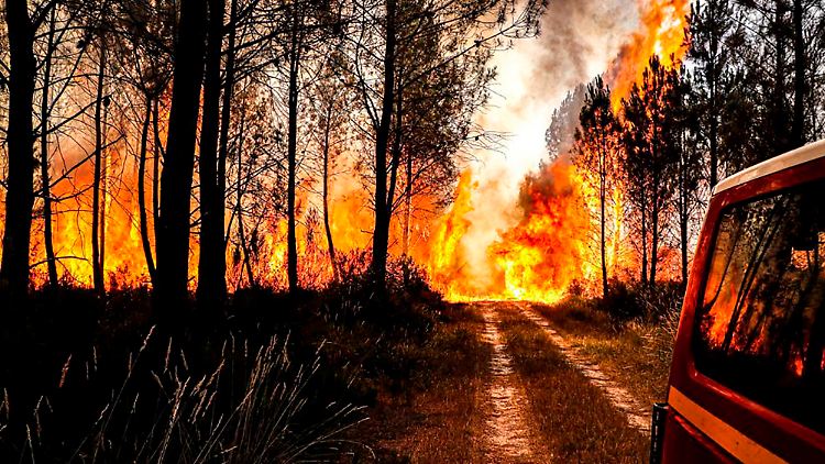 In Frankreich halten zwei Brände in der Region Bordeaux Hunderte Einsatzkräfte in Atem.