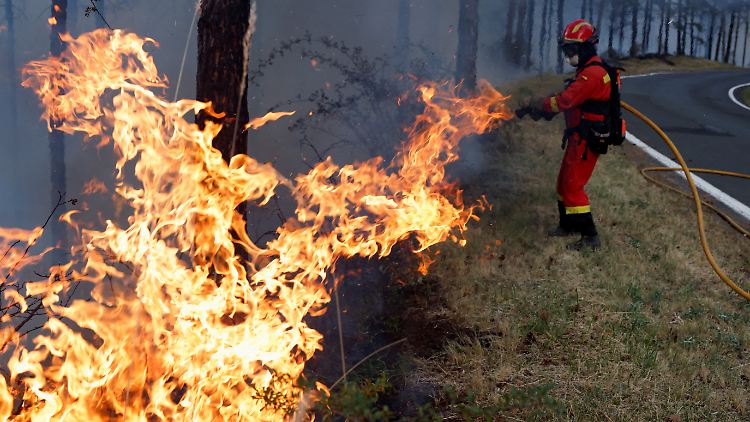 14 der 33 Waldbrände in Spanien sind außer Kontrolle.