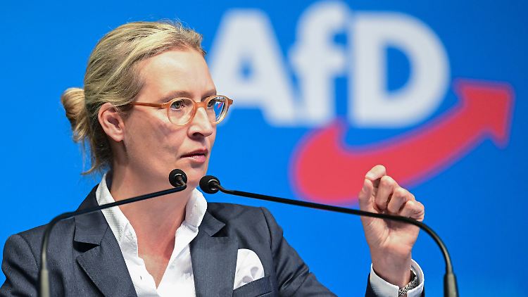 Um ihre Nachfolge ging es: Alice Weidel.