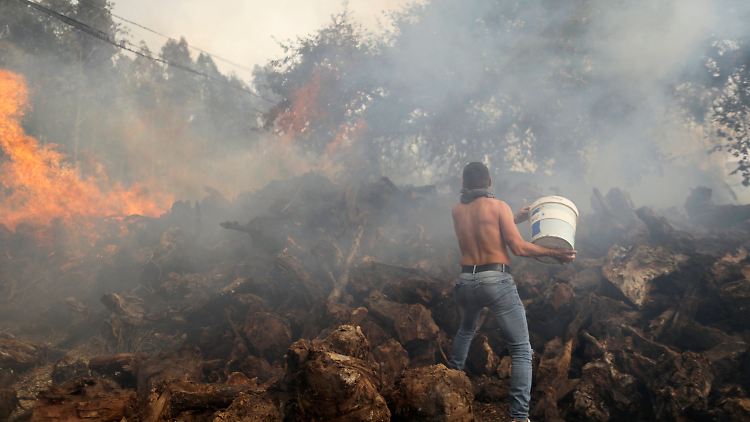Mit Wasser aus einem Eimer versucht ein Anwohner in Portugal einen Waldbrand zu löschen.