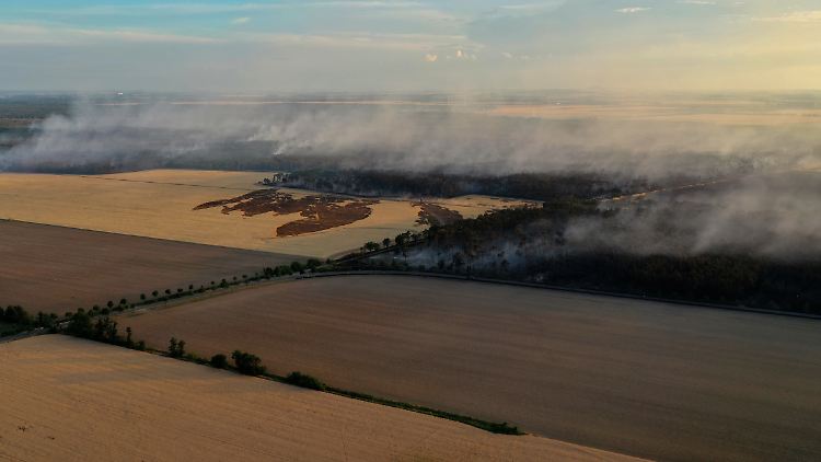 Der Wald brennt bei Kosilenzien im Landkreis Elbe-Elster, an der Landesgrenze von Brandenburg und Sachsen (Bild vom 18. Juli).