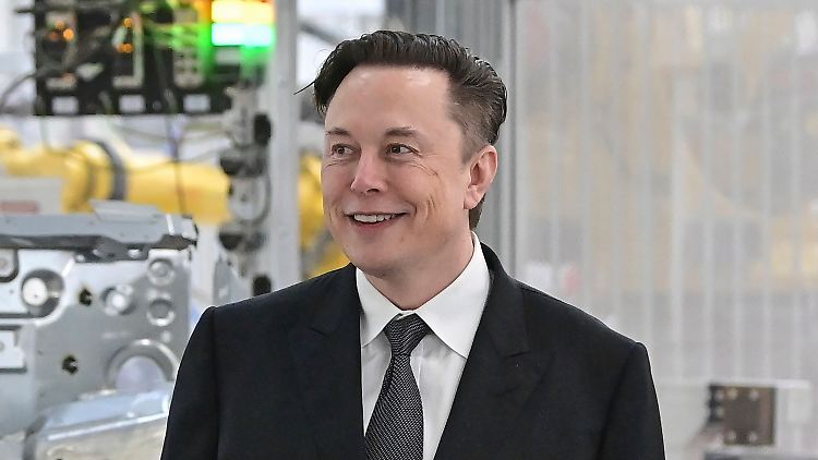Musk möchte erst im nächsten Jahr vor Gericht,  Twitter hat es deutlich eiliger.