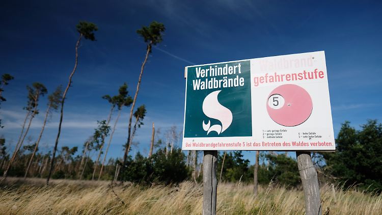 Aufgrund der aktuellen Hitze sind Waldböden vielerorts mit vertrockneten, leicht entzündlichen Blättern, Zweigen und Nadeln bedeckt.
