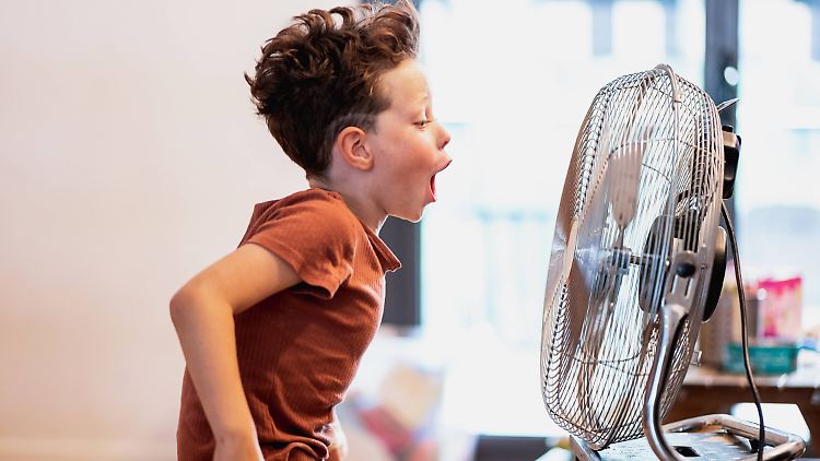 Wenn die Luftfeuchtigkeit nicht zu hoch ist, sind Ventilatoren sehr effektiv.