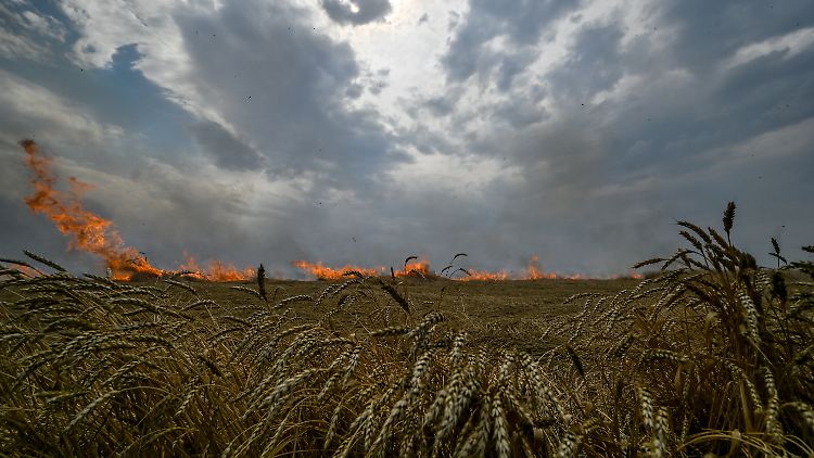 Ein Feuer, das durch russischen Beschuss ausgelöst wurde und die örtlichen Landwirte an der Getreideernte hindern soll, zerstört ein Weizenfeld in der Region Saporischschja.