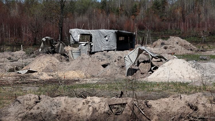 Die vom russischen Militär ausgehobenen Gräben im Sperrgebiet könnten zur Gefahr werden, kritisierte Greenpeace.