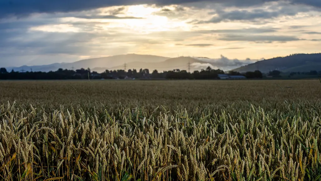 Wettermix-aus-Sonne-und-Schauern-Im-Suedwesten-wird-es-teils-sonnig-teils-wolkig-mit-moeglichen-Gewittern