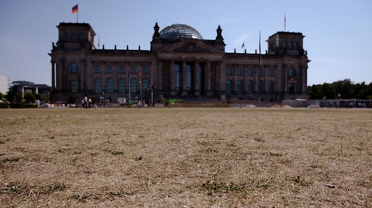 Hitzesommer 2022: Die vertrocknete Wiese vor dem Reichstagsgebäude in Berlin.