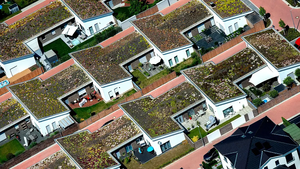 Auch-Steildaecher-koennen-bepflanzt-werden-sofern-die-Dachneigung-maximal-35-Grad-betraegt-Bepflanzte-Daecher-foerdern-die-Artenvielfalt-und-absorbieren-CO2-sowie-Feinstaub