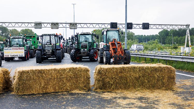 Bei Demonstrationen gegen geplante Umweltauflagen der Regierung in den Niederlanden blockieren Landwirte mit Treckern die Autobahn.