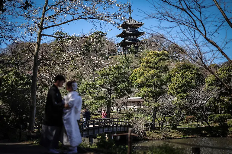 2024-07-08T230024Z-604169318-RC20U6AXAP2V-RTRMADP-3-JAPAN-LGBT-WEDDINGS