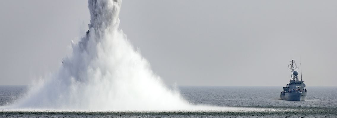 255547151.jpg