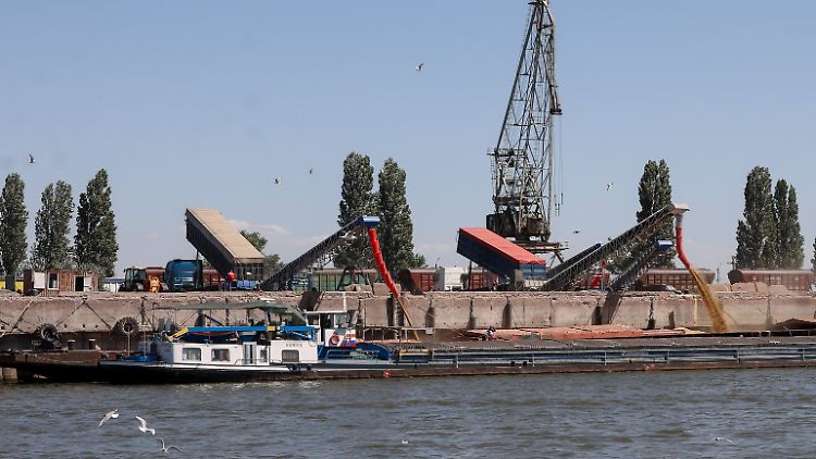 Getreide wird nahe Odessa verladen.