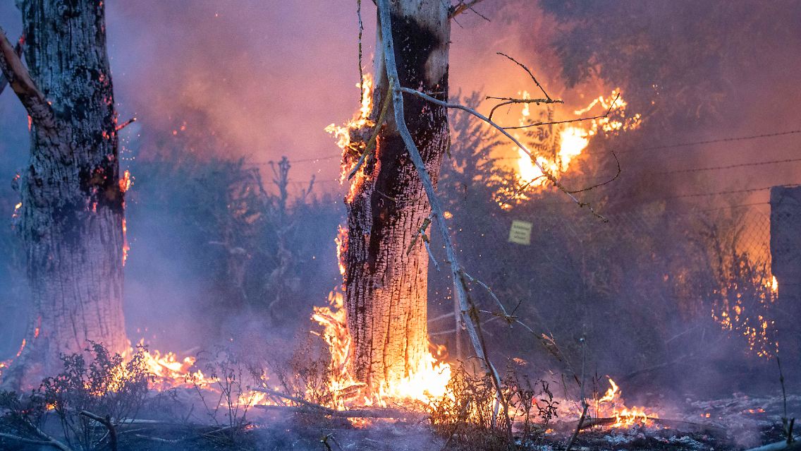 ... "sehr angespannt", heißt es vonseiten der Feuerwehr. Die Flammen haben sich ...