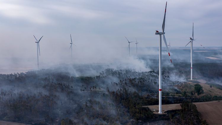 Windräder im Wald sind umstritten - viele Umweltschutzorganisationen sehen sie kritisch. Diese Anlagen befinden sich in Brandenburg und wurden während eines Waldbrandes abgelichtet.
