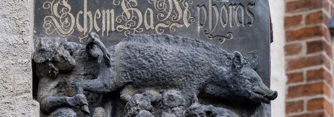 Eine als "Judensau" bezeichnete Schmähplastik ist an der Stadtkirche Wittenberg zu sehen.