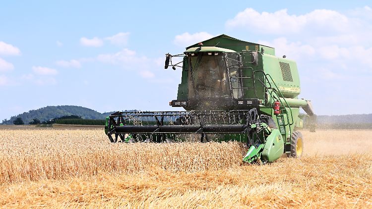 Die EU diskutiert noch über Maßnahmen gegen die globale Ernährungskrise.