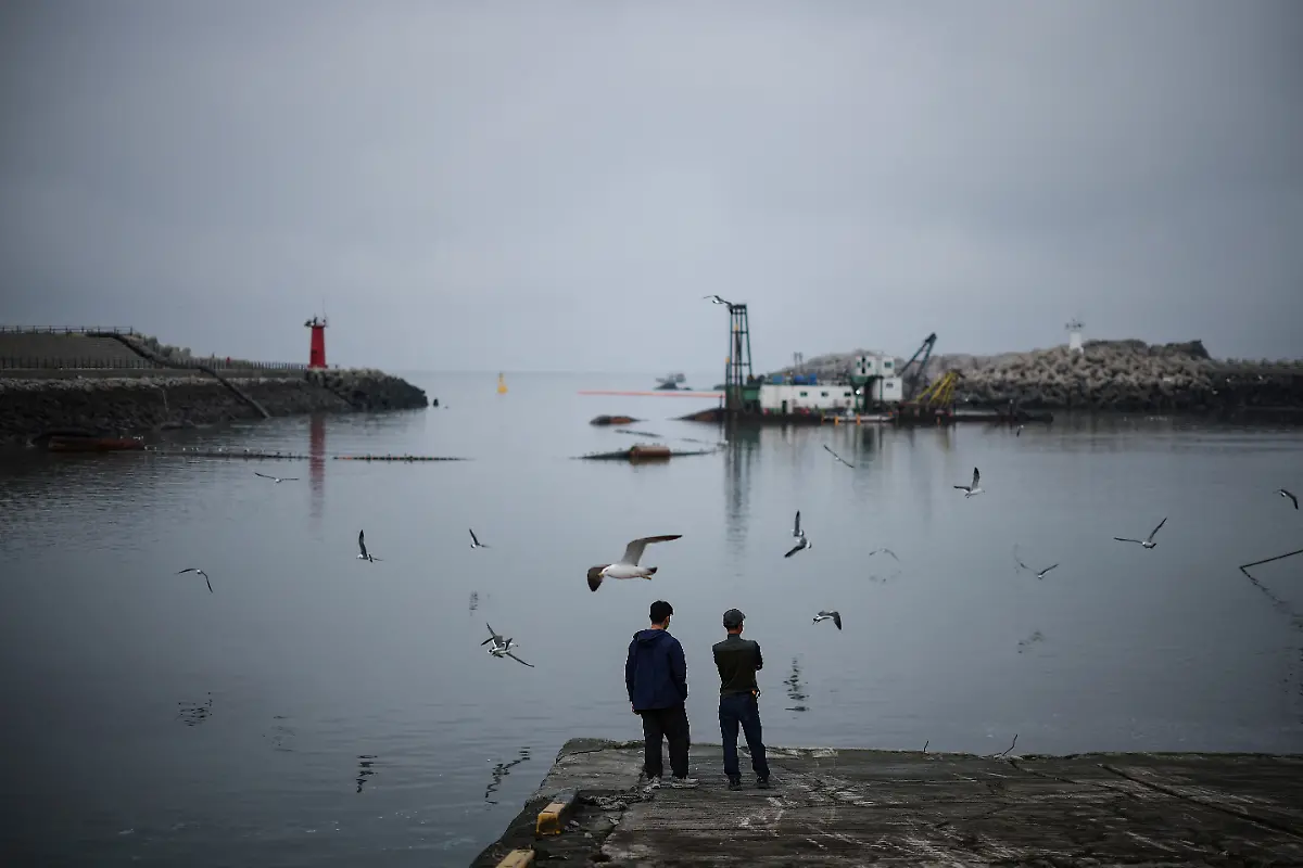 2024-07-01T230112Z-584252869-RC2OU7A6M26C-RTRMADP-3-SOUTHKOREA-ISLAND-DEER