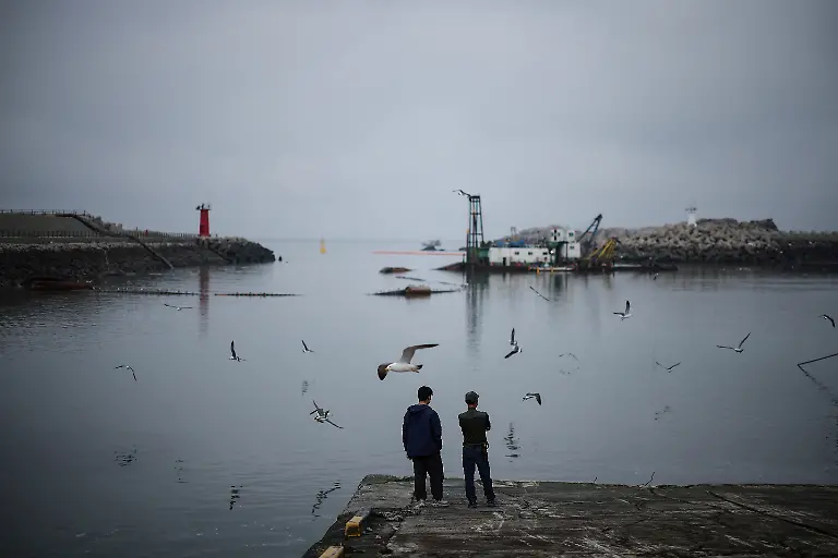 2024-07-01T230112Z-584252869-RC2OU7A6M26C-RTRMADP-3-SOUTHKOREA-ISLAND-DEER