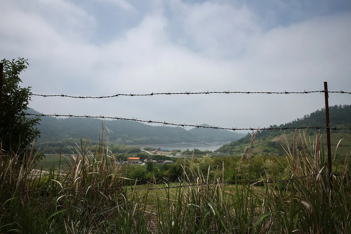 2024-07-01T230057Z-925737152-RC2QW7AJNNB4-RTRMADP-3-SOUTHKOREA-ISLAND-DEER