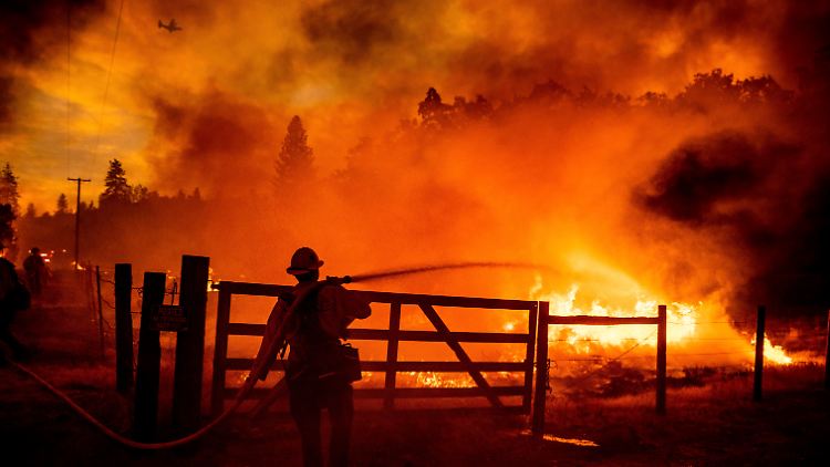 Kalifornische Waldbrände vernichteten nach Angaben von Cal Fire eine Fläche von 4350 Hektar.