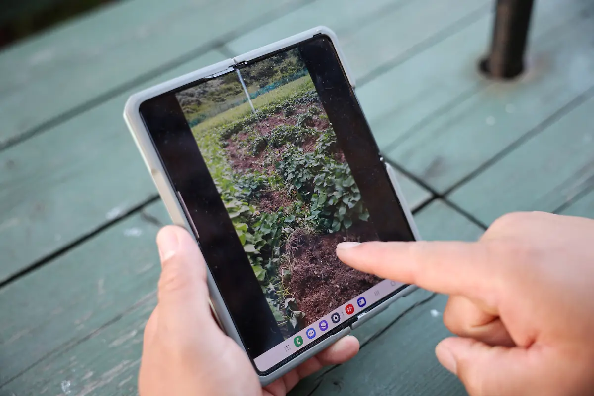 Jang-Jin-young-zeigt-zerstoerten-Garten