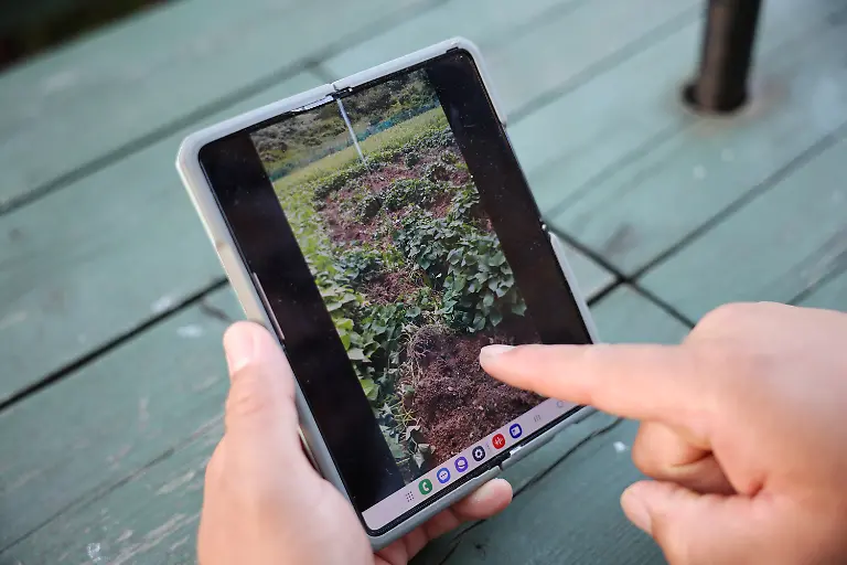 Jang-Jin-young-zeigt-zerstoerten-Garten