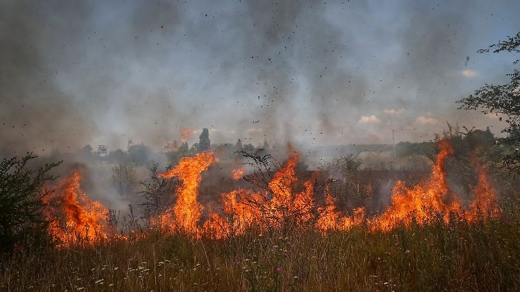 Verbrannte Erde nach russischen Angriffen im Donbass: Auch Wagner-Söldner sind bei den Kämpfen in der Ukraine im Einsatz.