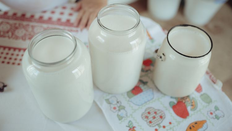 Milch verdauen zu können, war möglicherweise ein evolutionärer Vorteil während früherer Hungersnöte.