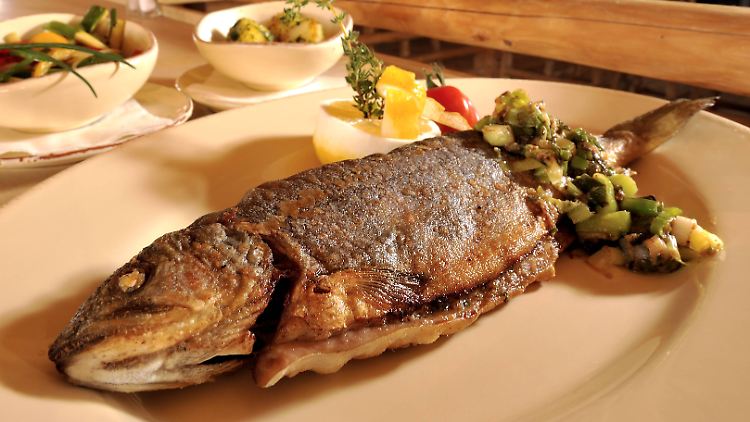 Gebraten ist der Bachsaibling auch lecker.