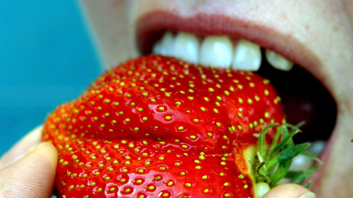 Süß wie Zucker sind die Umsatzzahlen von Südzucker.
