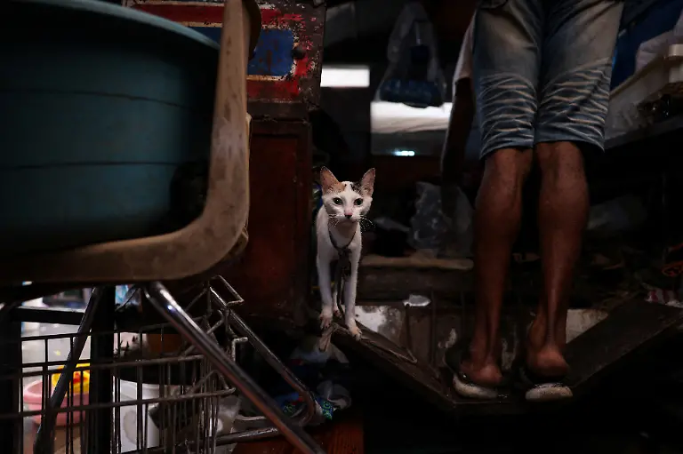 2024-07-03T130106Z-427200194-RC2FK7AHUQDU-RTRMADP-3-HAITI-VIOLENCE-HUNGER