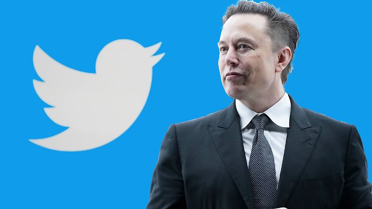 Das Gericht habe gute Gründe, Musk zum Kauf zu zwingen, sagt der Fondsgründer.