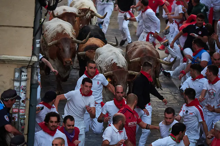 1d8e132deda151e8619e32dee5273acc