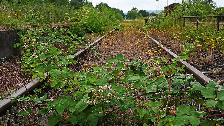 Vor allem im Osten Deutschlands wurden nach 1990 viele Gleise stillgelegt.
