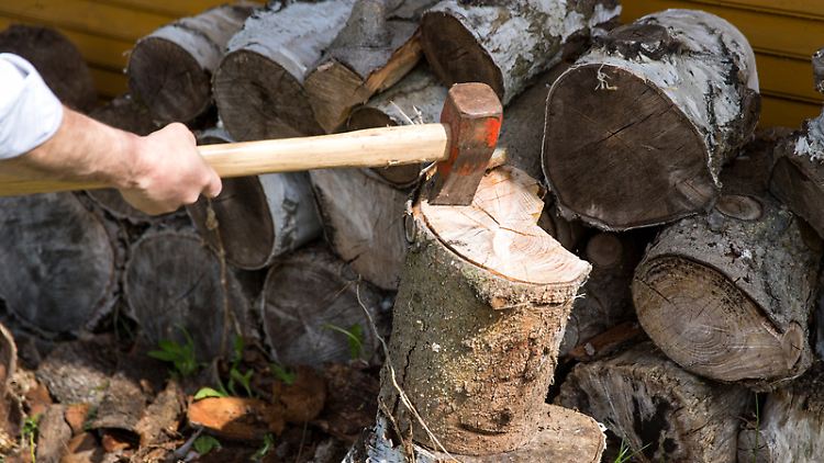 Frisch geschlagenes Holz kann nicht sofort verheizt werden, es muss erst trocknen - bis es weniger als 20 Prozent Wassergehalt hat.