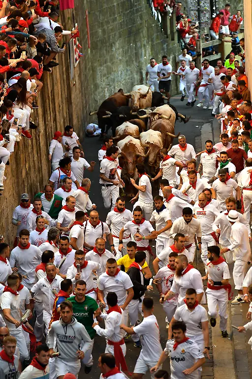 6a15246783b08ecc8e1aac00b0b126c3