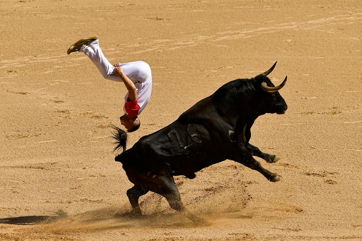 7c6fb4bcb48dec2339019d28ea3f26a6