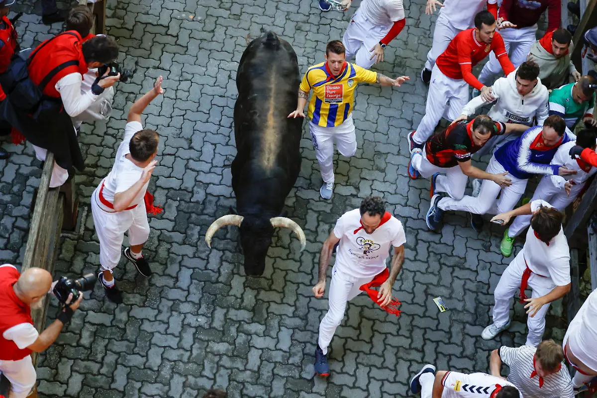 b1a81f9604db5a07eb41c547c038499d