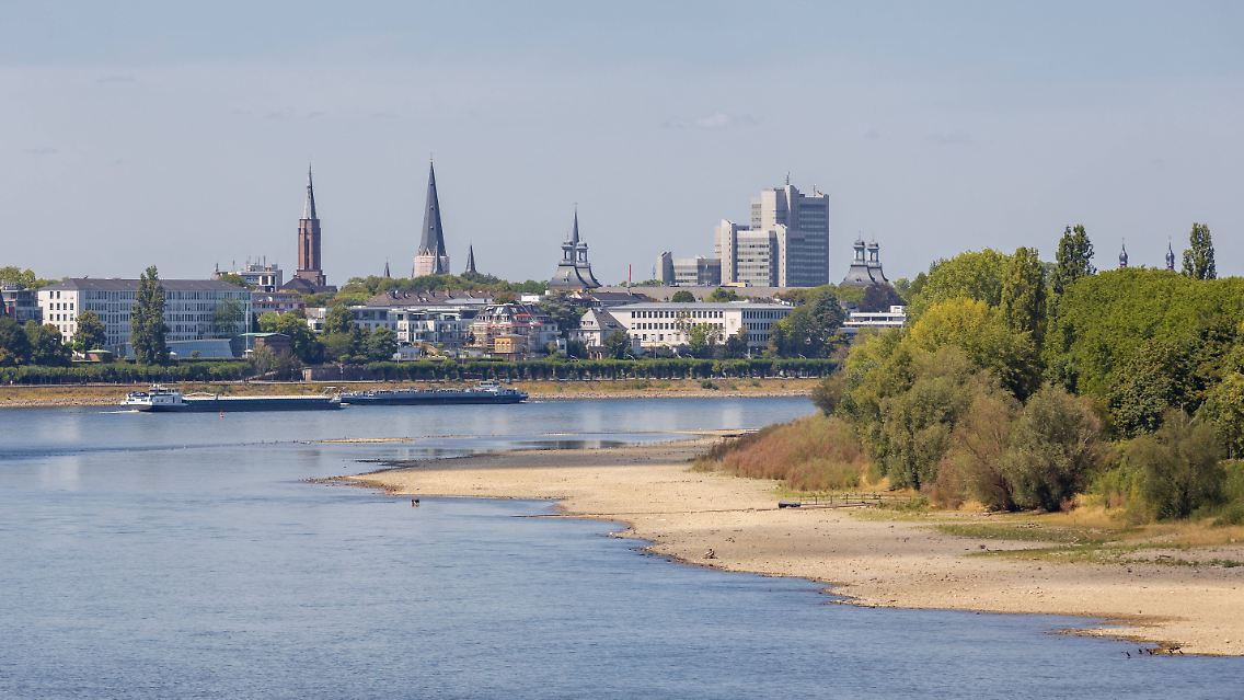Der Rhein bei Bonn.