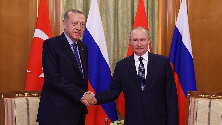 Sie wollen "eine ganz neue Seite in den türkisch-russischen Beziehungen aufschlagen": Erdogan und Putin.
