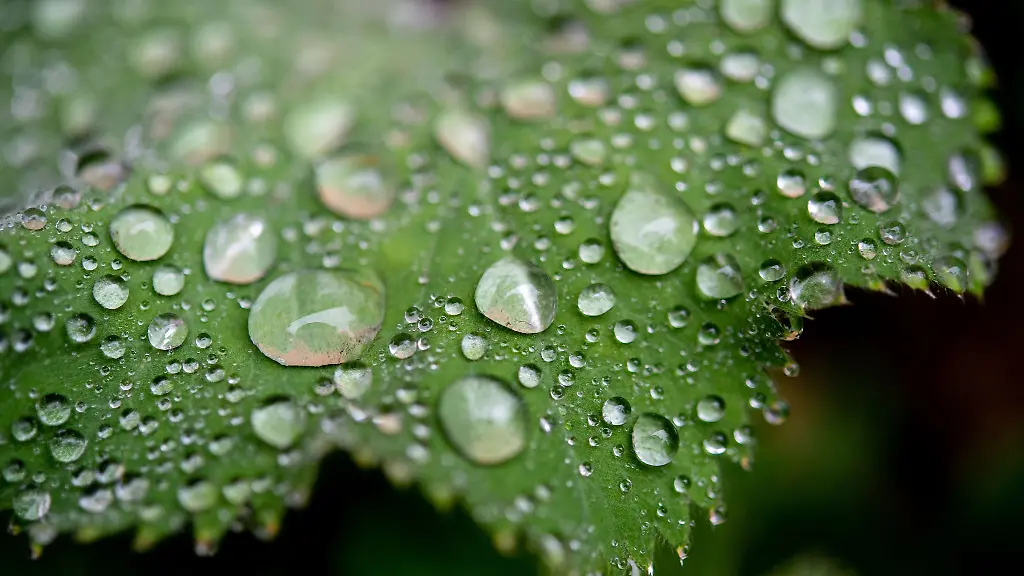 In-Bayern-drohen-Unwetter-und-Starkregen